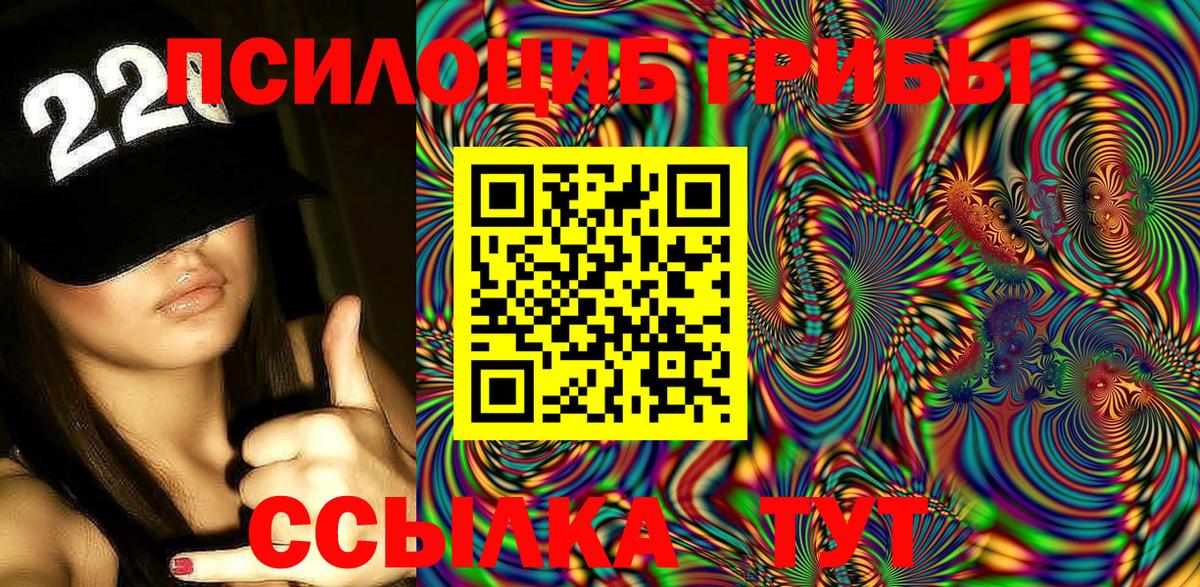 Галлюциногенные грибы Psilocybe  Вход с VPN  Кольчугино 
